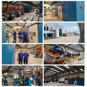 Cheap Single Core 1mm2 - 16mm2 Building Cable Manufacturing Machine Siemens Electricity for sale