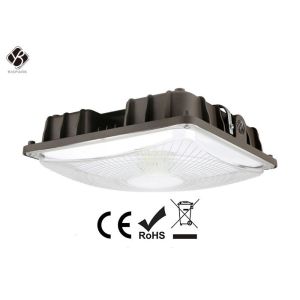 40W - 120W LED Canopy Light Nitelus Quality Driver IP67 For Gas Station