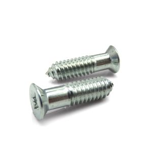 High Precision Corrosion Resistant Self-Tapping Efficiency Phillips Countersunk