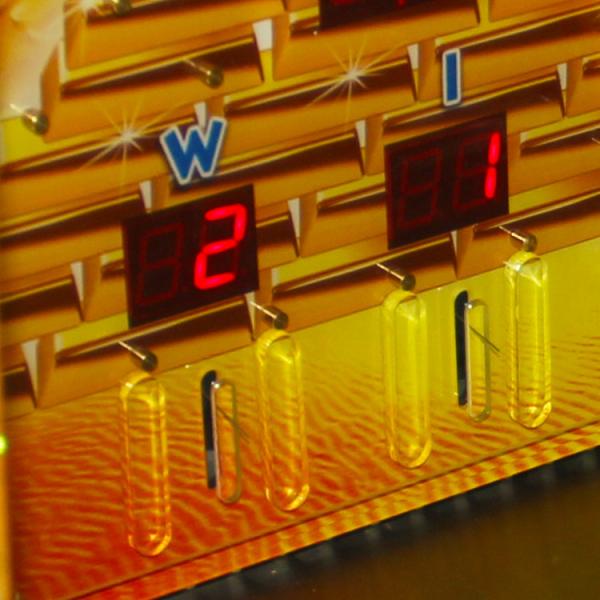 Gold Fort Casino Coin Operated Arcade Redemption Game Machine