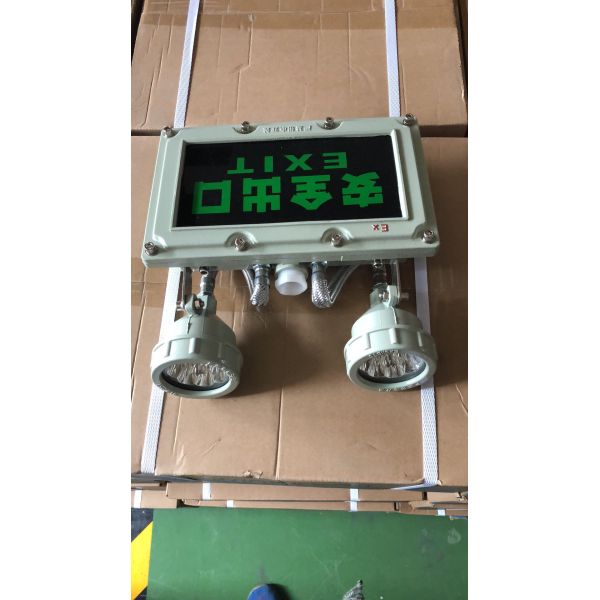 Quality 403 Status Code Burstproof Emergency Light Ensuring Safety and Security in Emergency Situations wholesale