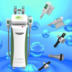 Cheap Cryolipolysis cellulite reduce machine Cool sculpt fat freezing treatment for sale