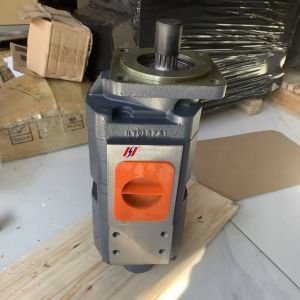 SEM Wheel Loader Gear Pump Part No. 5564831