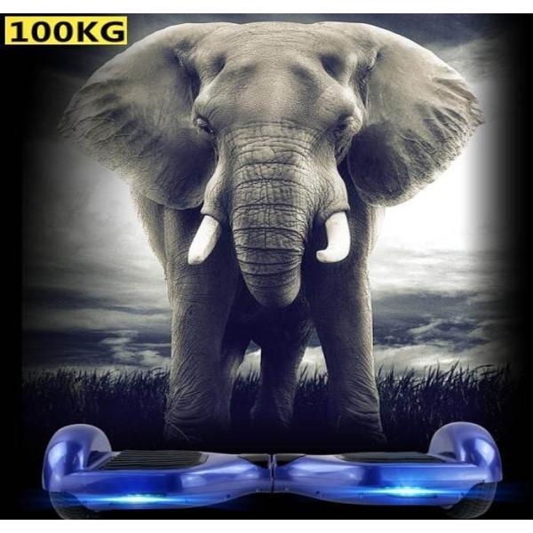 Quality Onewheel  drifting smart board two wheels self balancing Onewheel electrical scooter GK-F9 wholesale