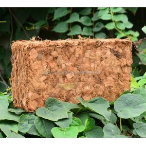 650g Cocopeat Block Press Machine with Customized Coir Pitch Hydraulic Block