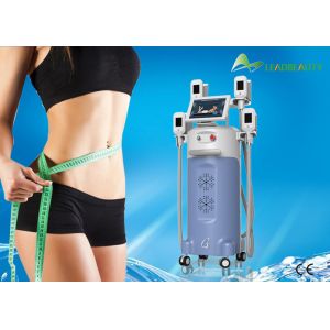 China 4 Cyo Handle Commercial slimming cellulite reduction machine cryolipolysis criolipolisis on sale