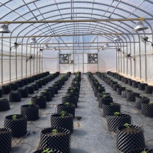 Practical High Tunnel Greenhouse For Agricultural Solutions
