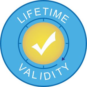 Green Color Indoor Plastic Lawn Landscaping Synthetic Artificial Turf Carpet