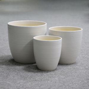 Stunning Plant Display With Our Ceramic Pots Various Sizes Available Ceramic