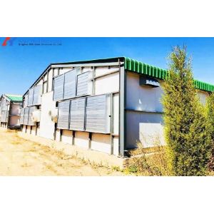 Custom Prefab Layer Chicken House with Automatic Feeding System