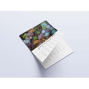 Matte Lamination Desk Calendar Printing 600-1000gsm Monthly Wall Calendars