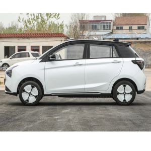 Large Capacity Trunk High Speed Pure Electric Car Joy 01 Lang Range Car