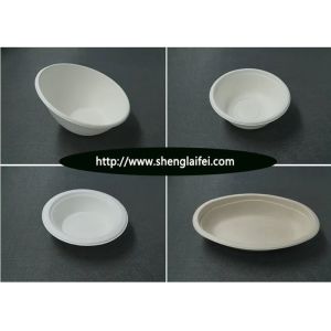 3 Compartment Biodegradable Disposable Microwave Fast Food Container