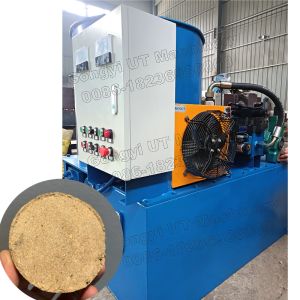 China Low- 800 KG Hydraulic Sawdust Briquette Press for Waste Coffee Husk and Olive Pomace on sale