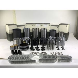 DC11 Rebuild Overhaul Kits For Scania Engine Spare Parts