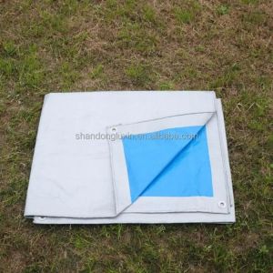 Coated PE Tarpaulin The Ultimate Heavy Duty Tarp for Maximum Protection and