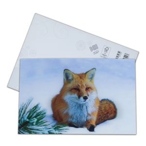 Lenticular Postcard Printing Toucan Wild Animals 3D Postcard for zoo pack