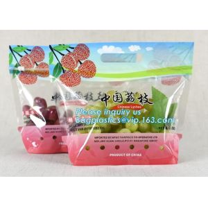 Stand Up Roasted Chicken Packaging Bags With Zip Top hot roast, rotisserie