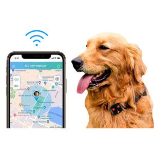 Ariza 4G Waterproof Pet GPS Tracker Device Collar With Camera