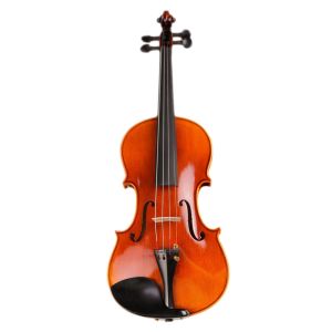 Hot selling guarneri violins hand painted violin popular in stock The back and
