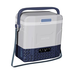 12L Portable Camping Compressor Car Fridge -20 10 C Refrigerator for Home and