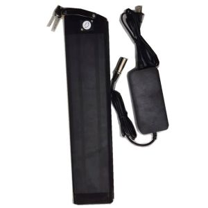 Silver Fish Lithium Battery 48V 25Ah Length 630mm with charger For E Bike