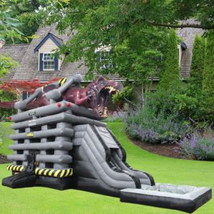 Commercial Inflatable Snow Slide with Custom Logo and Packing Bag