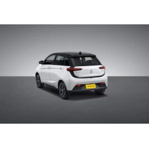 2023 Model Pure Electric Car YOUNG 302km Range 0.5h Fast Charge 4 Seats Full