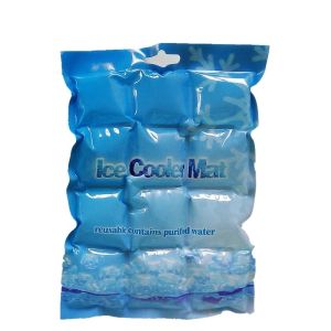 Customized Design PE Reusable Leakproof Viscous Gel Refrigerant Poly Ice Pack