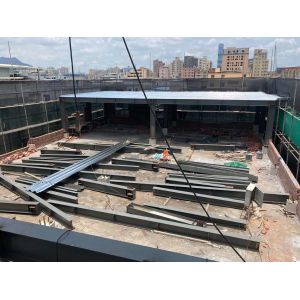 Custom Hollow Pipe Steel 25mm 40 HQ Poultry Farm Structure