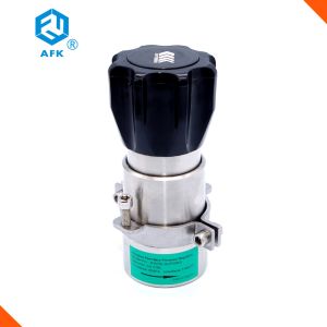 High Quality High pressure 6000PSI 3000PSI 1/4NPT 3/8NPT 1/2NPT gas back