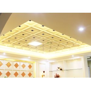 Clathrate Texture Artistic Ceiling Tiles , New Style Luxury Clip in Panel