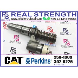 Engineering machinery Fuel Injector 250-1303 250-1311 250-1302 250-1304 250-1303