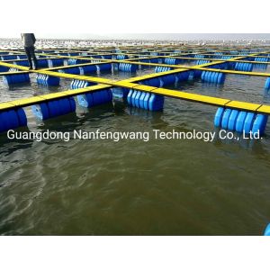 PE/Nylon Net Flexible Fish Farming HDPE Fish Farming Floating Pontoon in Lake
