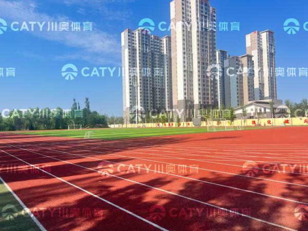 Quality Versatile Options of EPDM Rubber Granules for Multi-Sport and Fitness Spaces wholesale