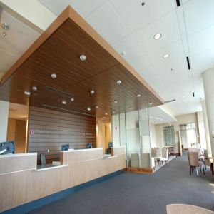 Fireproof Access Aluminum Metal Hook On Ceiling 1500mm Width