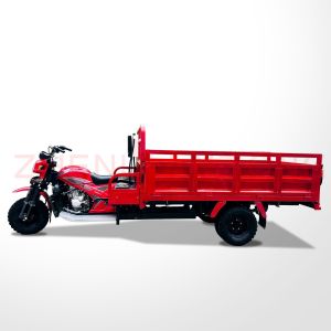 3 Wheel Motorized Tricycle 250cc Cargo Tricycle with Big Footrest and 150cc