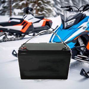 96V 300Ah Marine Lithium Battery with Customized Size and Stainless Steel Case