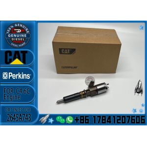 2645A743 Common rail injector fuel injecto 10R-7675 2645A748 2645A743 320-0670