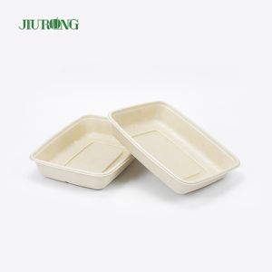 Disposable Sugarcane Food Container Biodegradable Greaseproof Paper OEM ODM