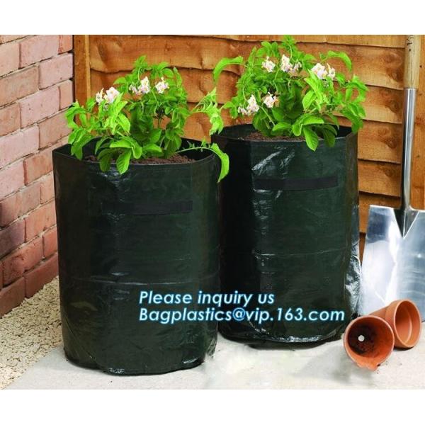 Nine pockets cheap vegetable grow planter bag,china manufacture riptop