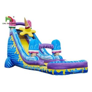 Cheap Colorful Ice Cream Inflatable Water Slide Single Lane Fire Retardant for sale