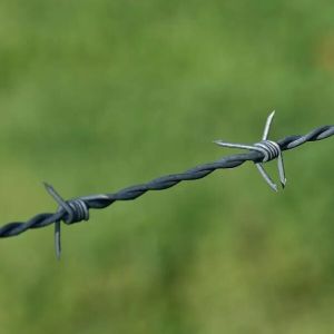 galvanized barbed wire galvanized barbed wire price 250m per roll dutch net