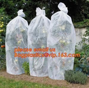 China PP Non Woven Fabric Fruit Tomato Banana Bunch Cover Garden Plant Protection Cover For Winter,Eco-friendly Household Non on sale