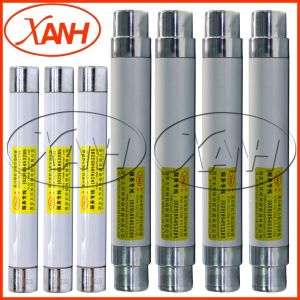 Bay-O-Net Tap Changer Switch Fuse for Oil Transformer 9f54MFC120