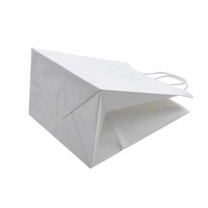Eco Friendly Printed Paper Bags Portable With Handle Oem Odm Available
