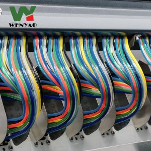 High Accuracy CCD Camera Small Sunflower Seed/Nuts Color Sorter Color Sorting