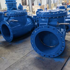 Flanged EPDM Swing Check Valve for Water Gas Oil - ANSI / BS Standard by Veyron