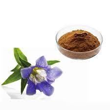 China Scabra Gentian Root Extract Powder 40% Gentiopicroside Functional Food on sale