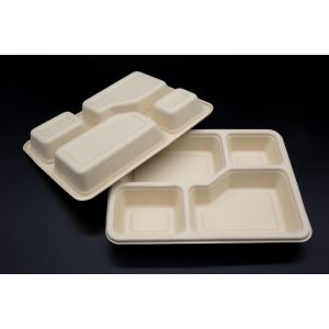 Sugarcane Pulp Wheat Straw Dinnerware Set Food Biodegradable Takeaway Packaging